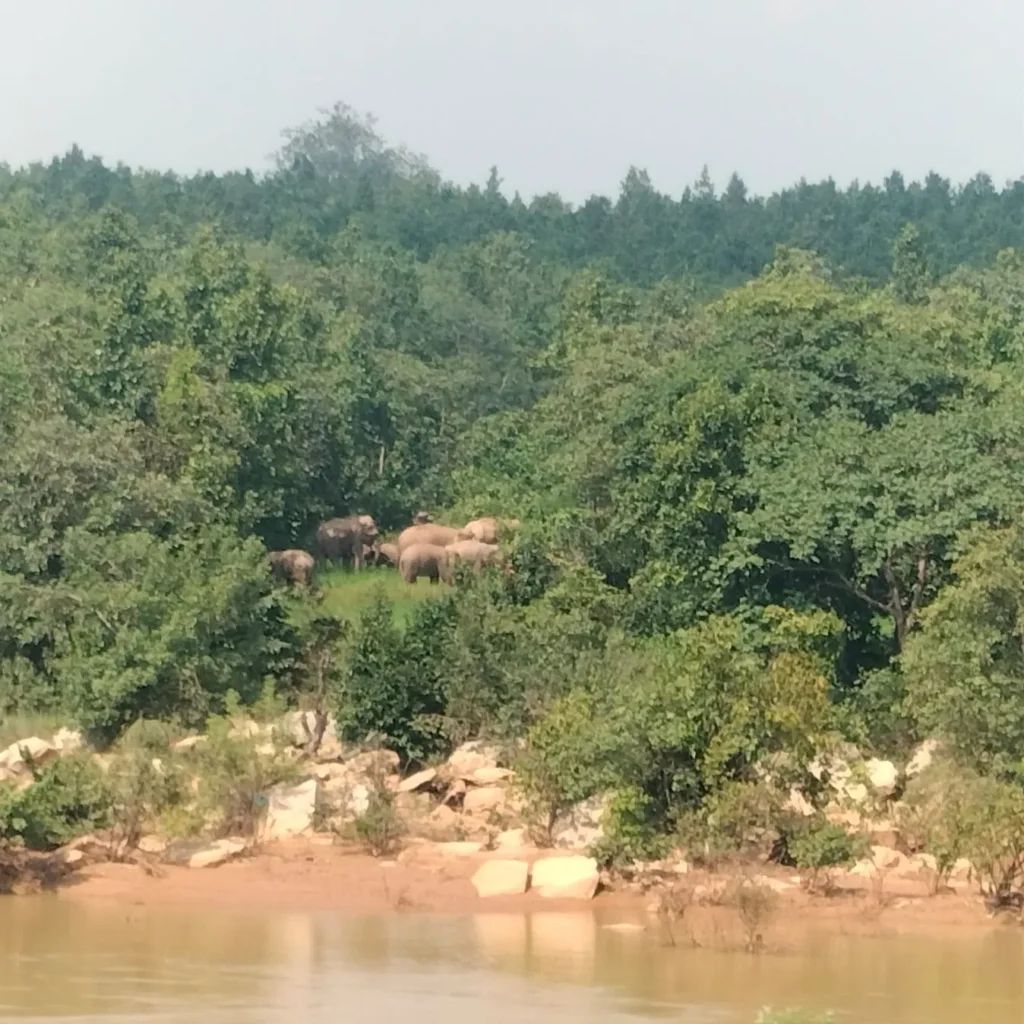 जेपीजी 1